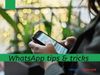 whatsapp tips and tricks
