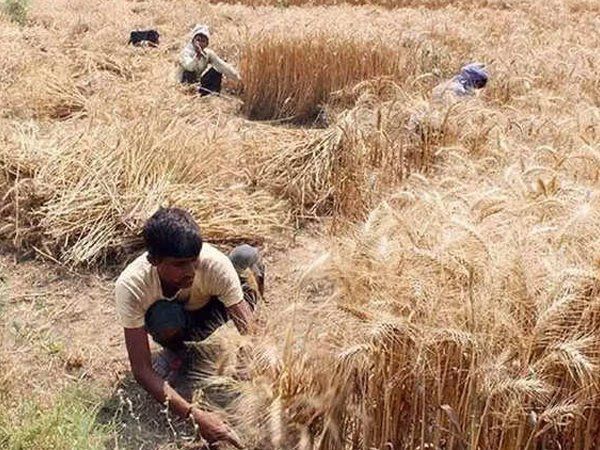 Representational Image