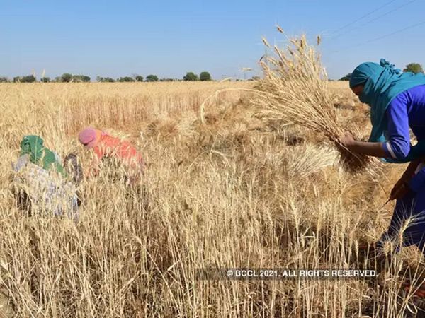 FCI Silo Project Make in India clause