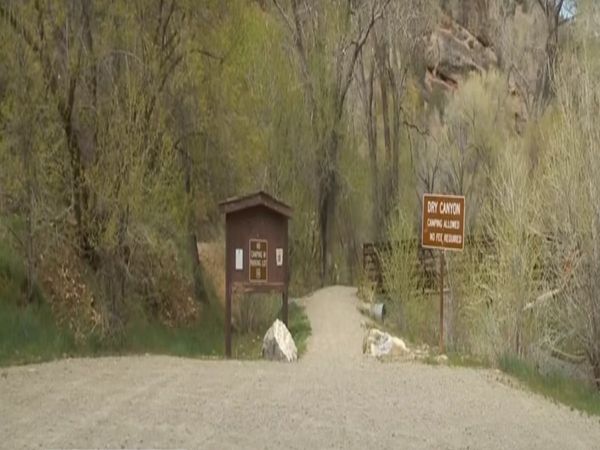 यकीन करना आसान नहीं, अमेरिका के बीहड़ों में लापता हुई महिला घास खाकर जिंदा रही 6 महीने