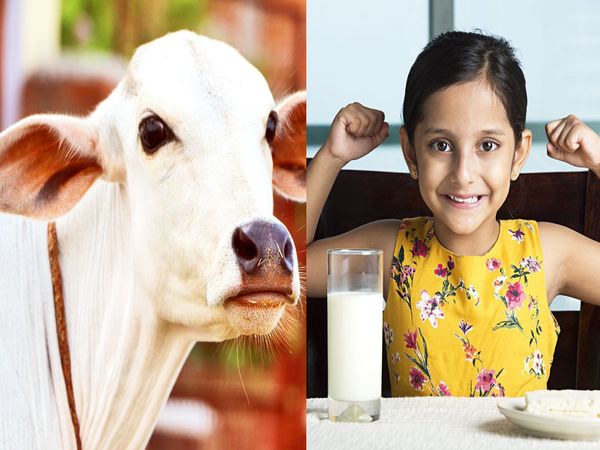 India world's largest milk producer,Verghese Kurien, World MilK Day
