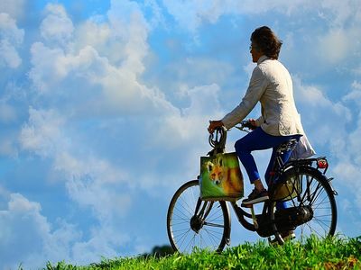 world bicycle day 2020 world bicycle day 2020