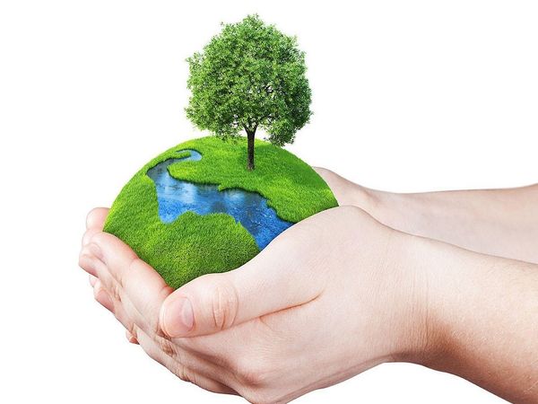 world environment day 2020
