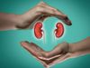 world kidney day 2022 these ayurvedic herbs help to keep kidneys healthy and clean