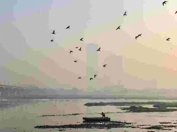 UP : Bodies found floating in Yamuna in Hamirpur