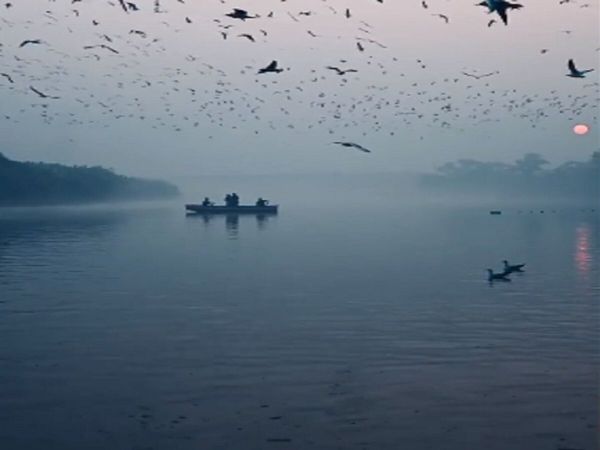 Yamuna river will now remain pure