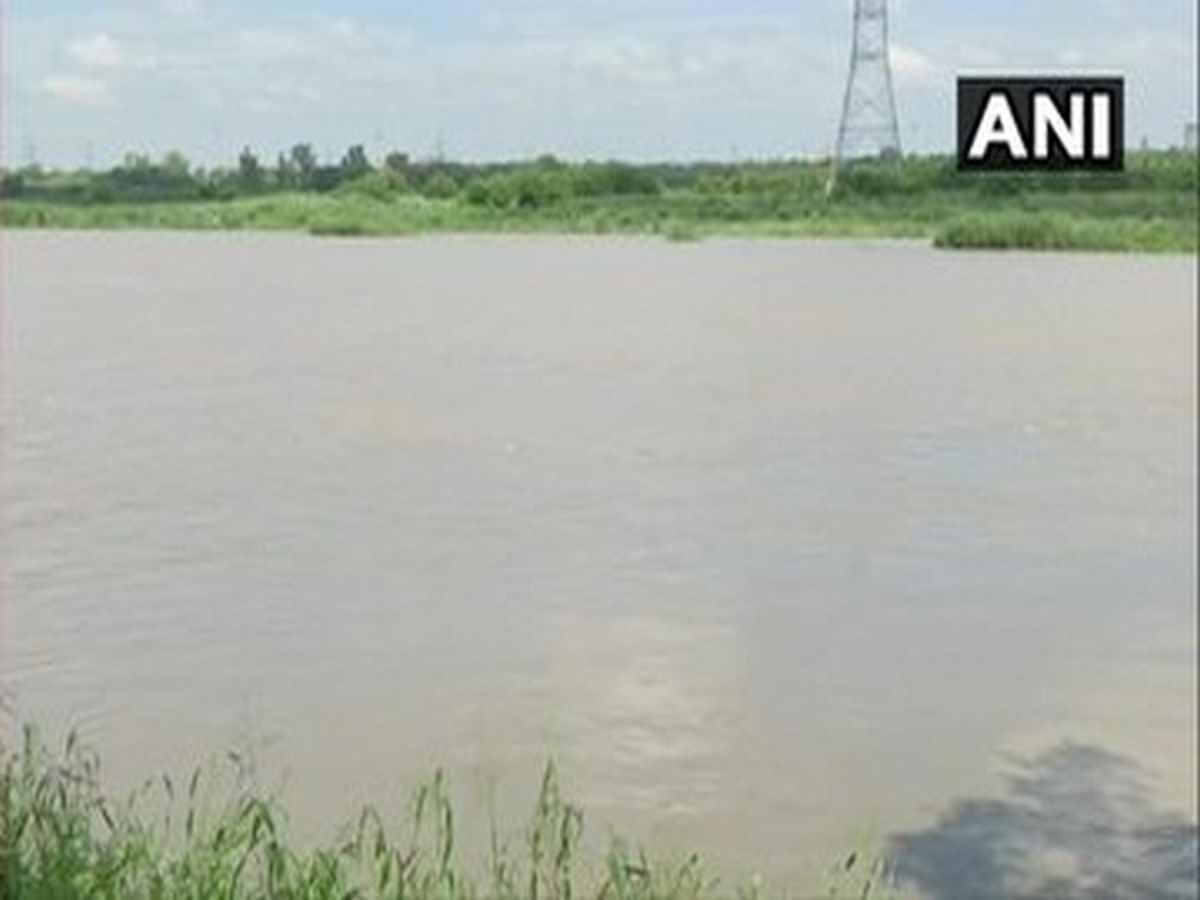 Yamuna River: भगवान कृष्ण की मूर्ति विसर्जन के दौरान बड़ा हादसा, यमुना नदी में डूबने से 5 लड़कों को मौत
