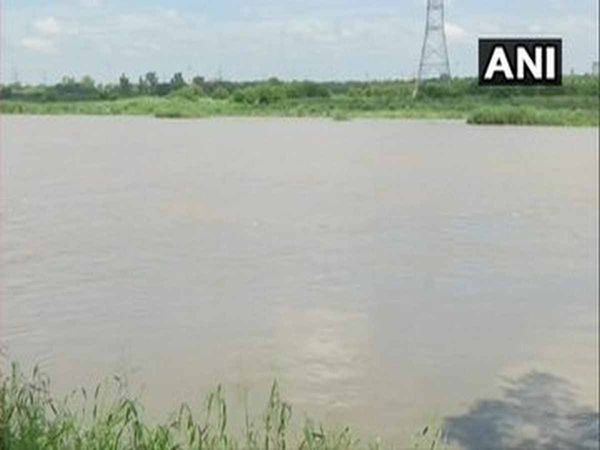 Major accident during immersion of Lord Krishna idol 5 boys die due to drowning in Yamuna river