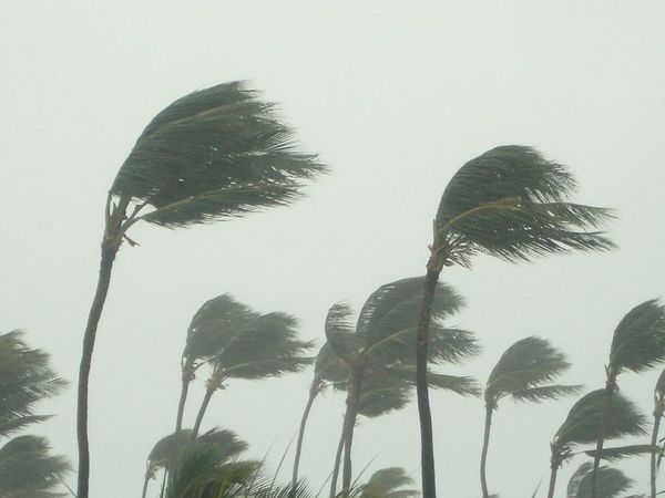Cyclone Yaas ki dastak,Cyclone Yaas kab aayega