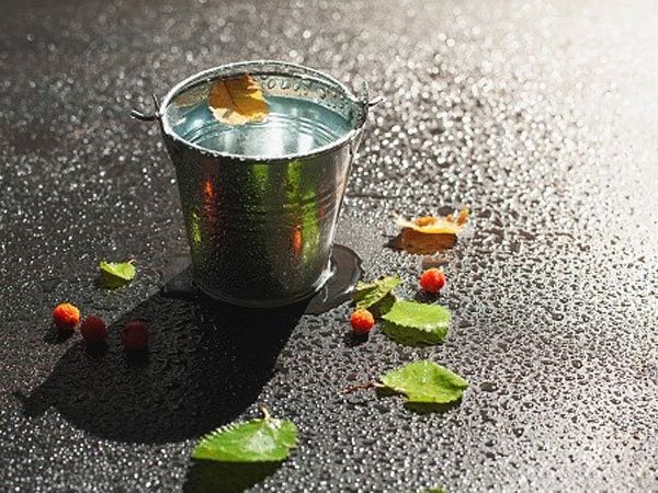 Tricks to get respect and honor