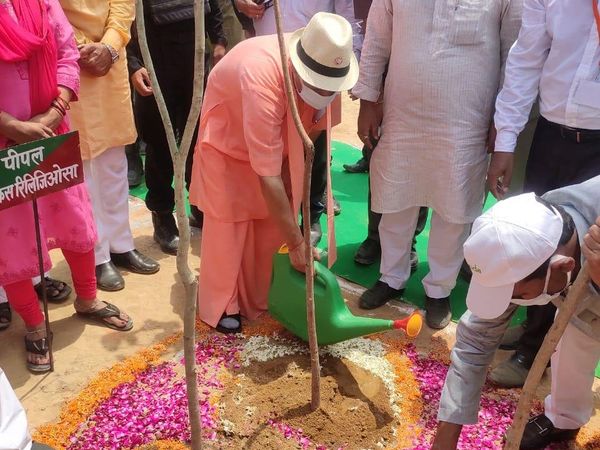 उत्तर प्रदेश , प्लांटेशन, यूपी सरकार, योगी आदित्यनाथ सरकार, Uttar Pradesh, Plantation, UP Government, Yogi Adityanath Government,Van Mahotsav, Uttar Pradesh