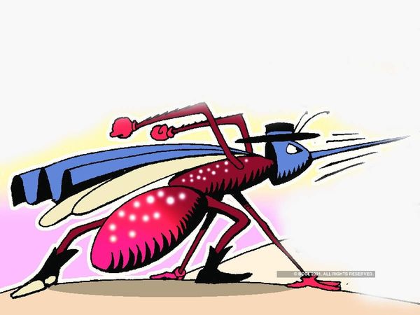 zika virus, what is zika virus, zika fever, zika virus in kerala, symptoms of zika virus, ways to avoid zika virus, zika virus news