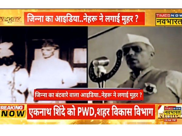 india pakistan Partition