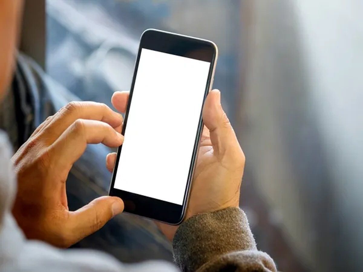'हिंदी राष्ट्रभाषा है, आपको थोड़ी-बहुत आनी चाहिए', ग्राहक को Zomato एग्जीक्यूटिव की सलाह पर उठा विवाद