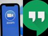 Zoom or Google Hangouts:
