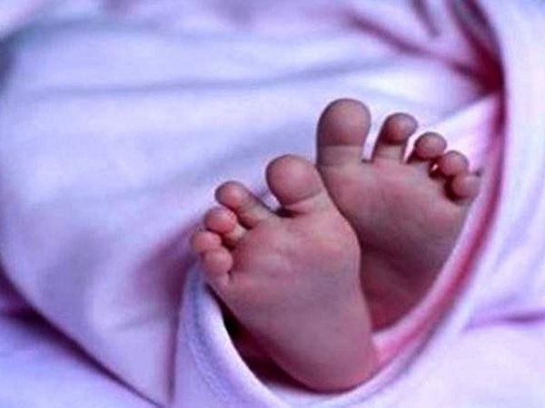 dogs save baby girl life