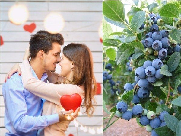 Foods Men Should Eat Every Day