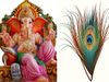 lord ganesha know the tips importance and significance of krishna peacock feathers morpankh