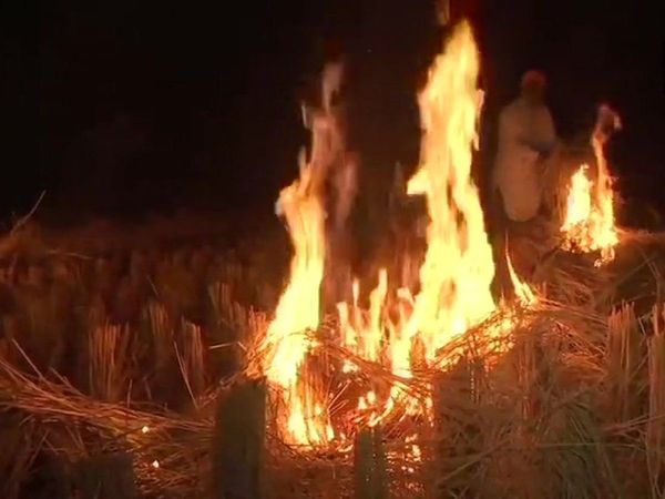 stubble burning