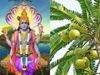 What to do on Amla Navami