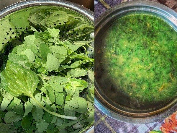 Bathua Saag