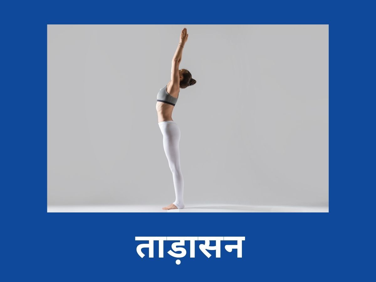 International Yoga Day 2022: 5 Easy Yoga Asanas for Beginners to Beat  Stress - News18