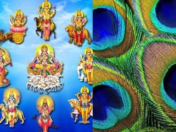  Peacock Feather Astro Tips