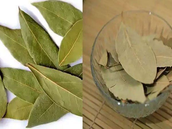 bay leaves